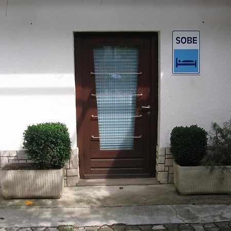 Guest House Roze 伊利尔斯卡比斯特里察 外观 照片