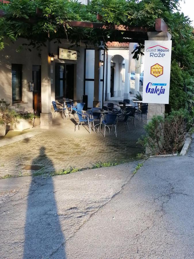 Guest House Roze 伊利尔斯卡比斯特里察 外观 照片