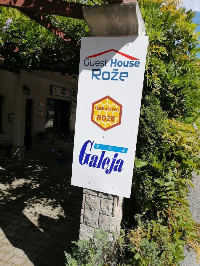 Guest House Roze 伊利尔斯卡比斯特里察 外观 照片