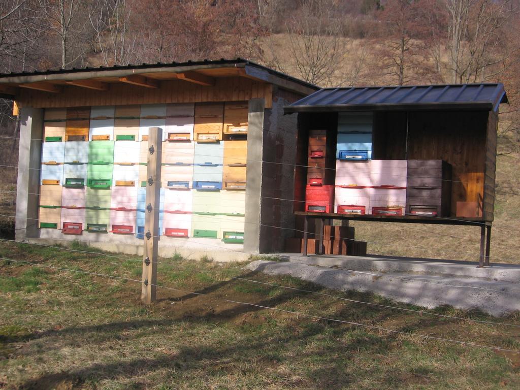 Guest House Roze 伊利尔斯卡比斯特里察 外观 照片